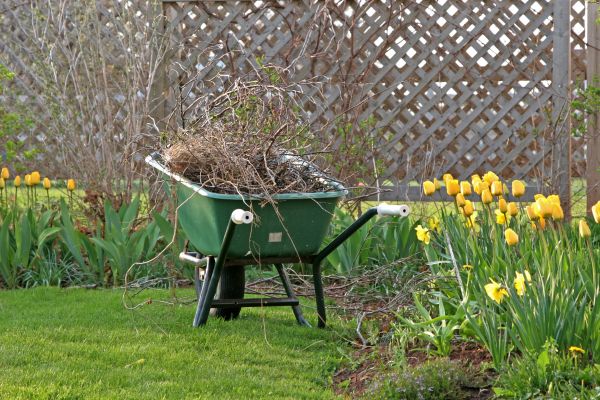 Flower Bed Cleanup Service in Richmond