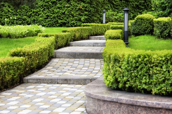 Backyard Remodeling in Richmond