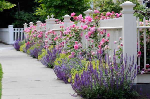 Garden Handyman Service in Richmond