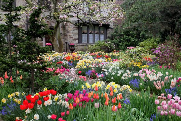 Garden Maintenance Service in Richmond