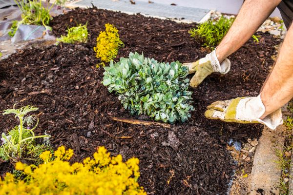 Weeding And Mulching in Richmond