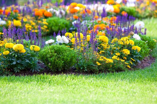 Garden Installation in Richmond