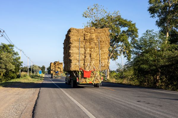 Pine Straw Delivery in Richmond