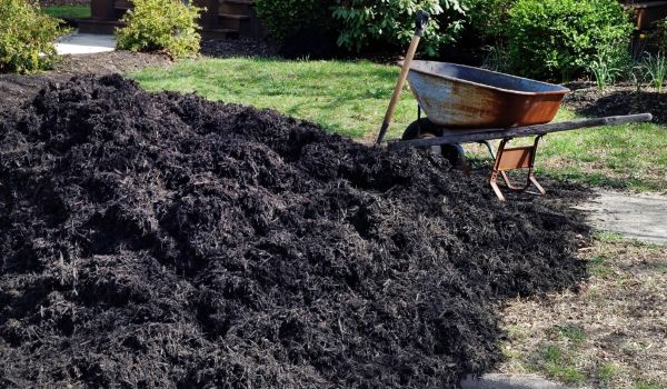 Black Mulch Delivery in Richmond