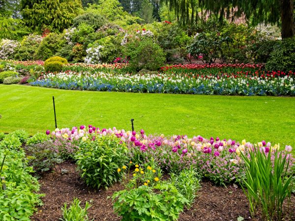 Residential Landscape Design in Richmond