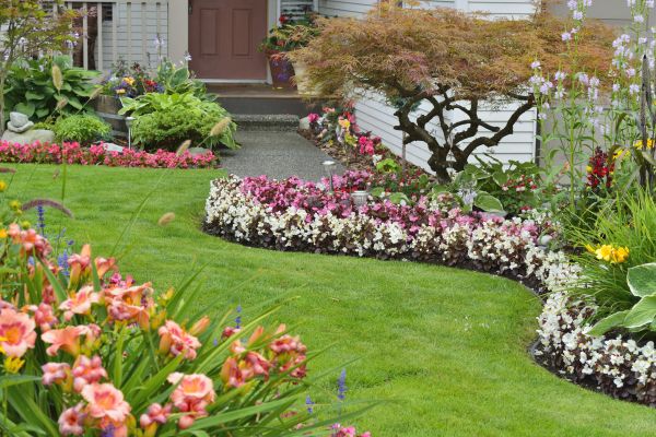 Perennial Landscaping in Richmond