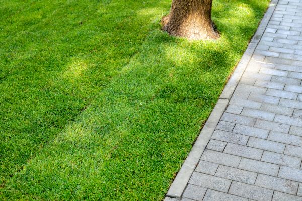 Border Stone Installation in Richmond