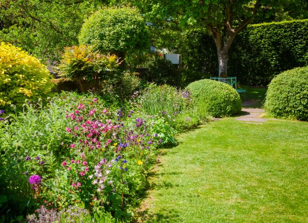 Yard Landscaping Service in Richmond