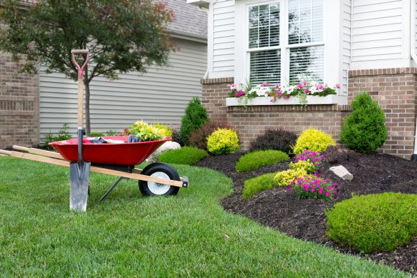 Tree And Shrub Planting in Richmond