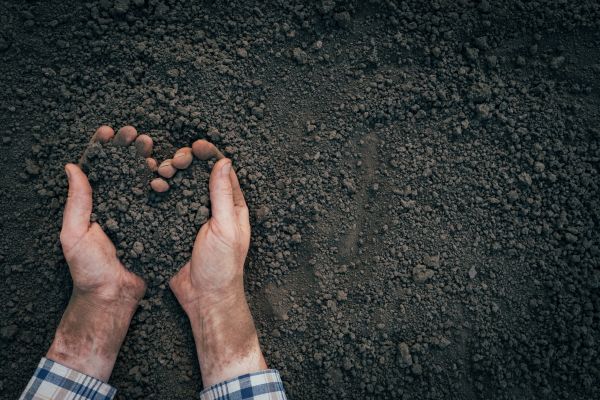 Soil Installation in Richmond
