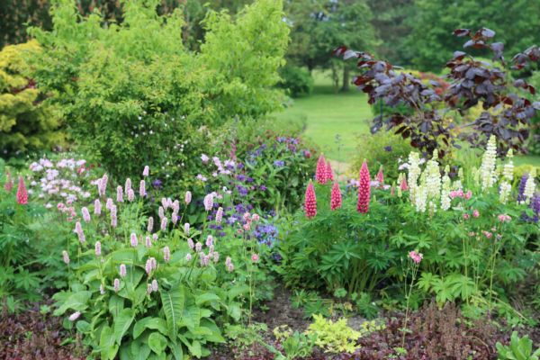Flower Bed Planting in Richmond