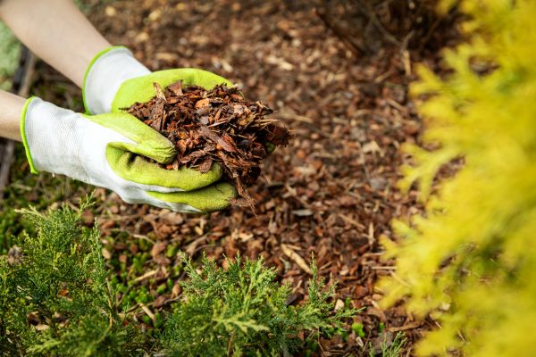 Garden Mulch Delivery in Richmond