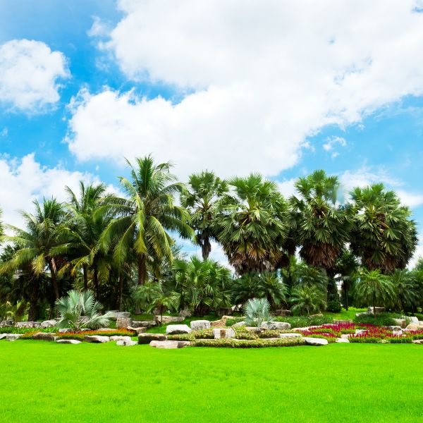 Tropical Landscaping in Richmond