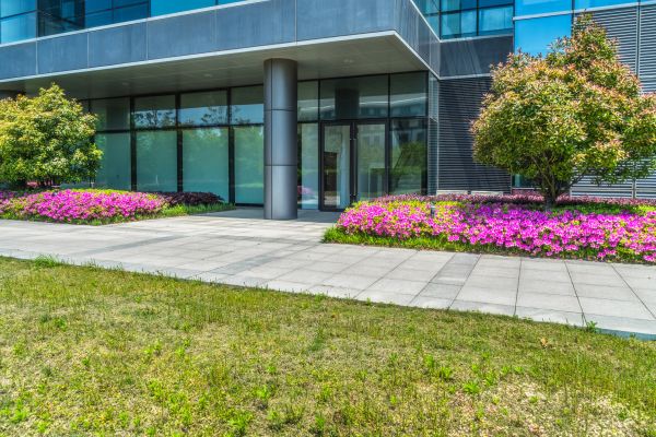 Commercial Gardening in Richmond