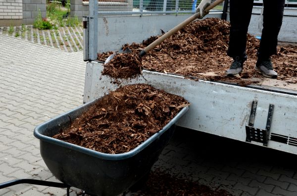 Cypress Mulch Delivery in Richmond