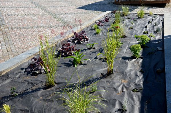 Landscape Fabric Installation in Richmond