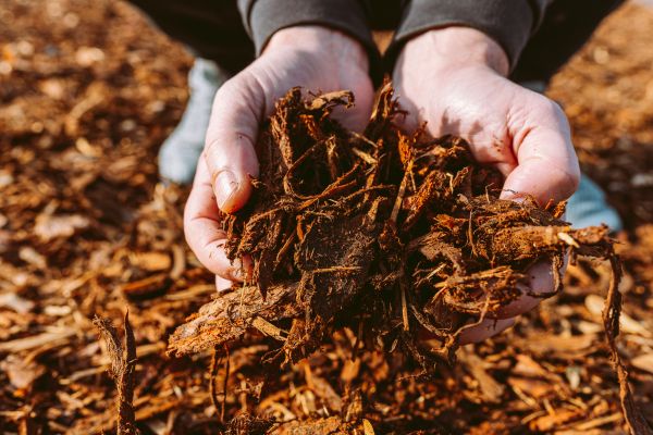 Bark Chips Delivery in Richmond