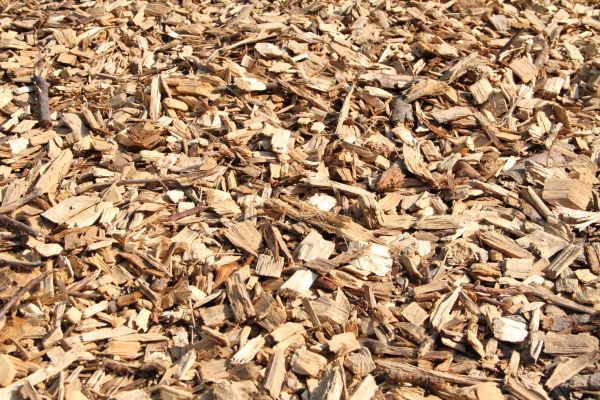 Wood Mulch Delivery in Richmond