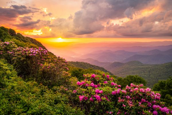 Hill Landscaping in Richmond
