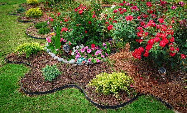 Floral Landscaping in Richmond