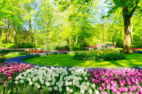 Flower Landscaping in Richmond