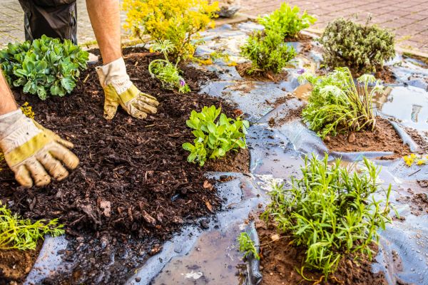 Mulch Fabric Installation in Richmond