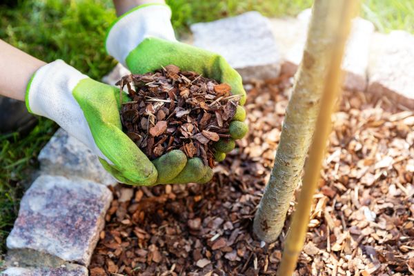 Tree Bark Delivery in Richmond