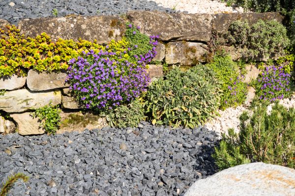 Landscaping Rocks Installation in Richmond