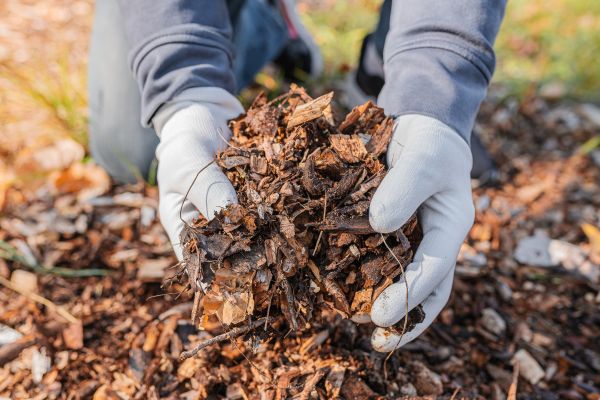 Shredded Mulch Installation in Richmond