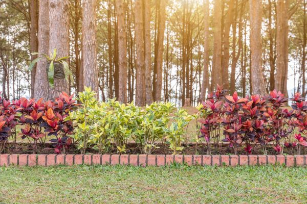 Small Garden Landscaping in Richmond