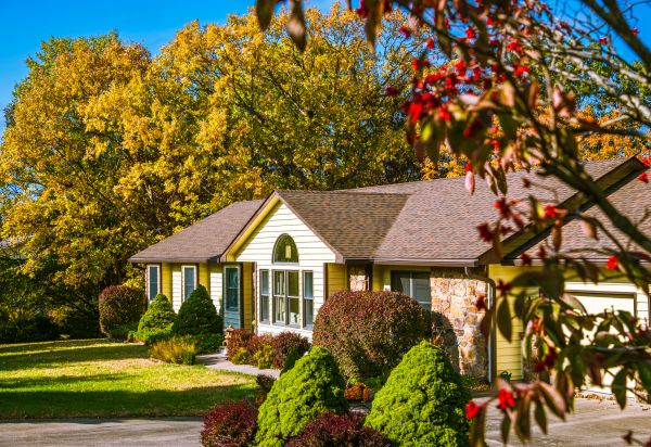 Ranch Landscaping in Richmond