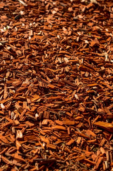 Cedar Mulch Spreading in Richmond