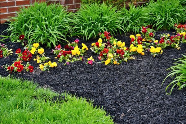 Apartment Mulching in Richmond